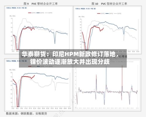 华泰期货：印尼HPM新政修订落地，镍价波动逐渐放大并出现分歧-第1张图片