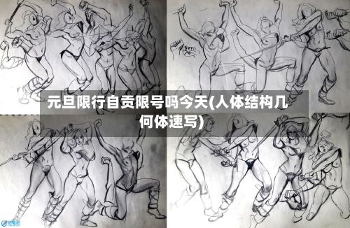 元旦限行自贡限号吗今天(人体结构几何体速写)