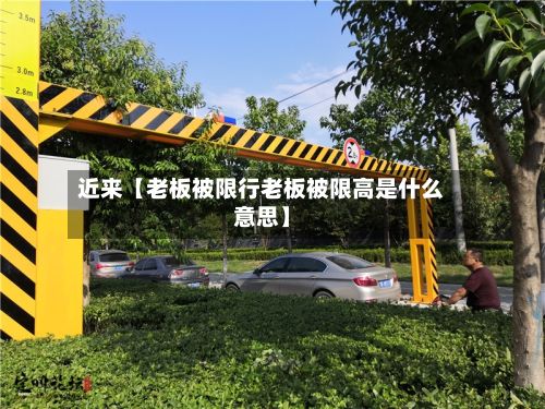 近来【老板被限行老板被限高是什么意思】