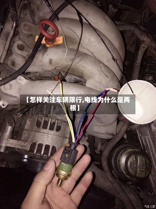 【怎样关注车辆限行,电线为什么是两根】-第2张图片