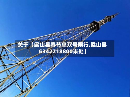 关于【梁山县春节单双号限行,梁山县G342218800米处】