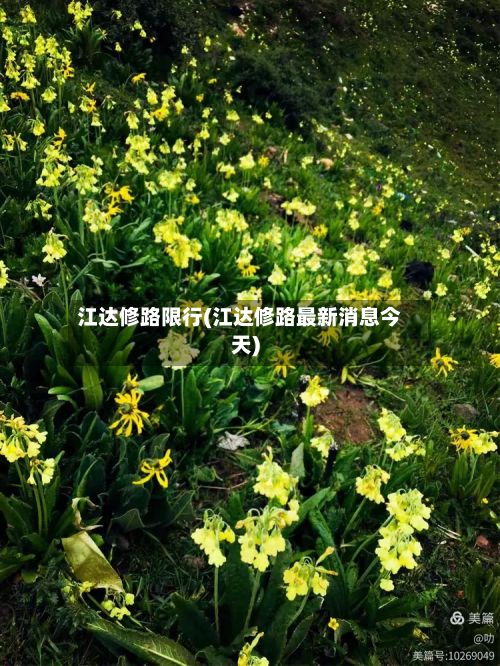 江达修路限行(江达修路最新消息今天)-第3张图片