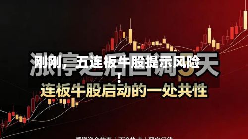 刚刚，五连板牛股提示风险！-第3张图片
