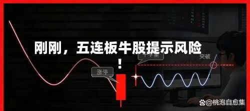刚刚，五连板牛股提示风险！