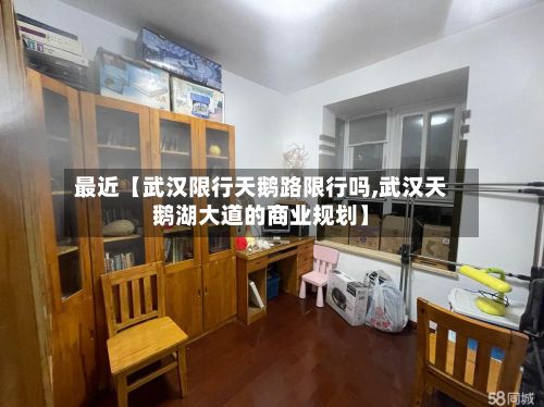 最近【武汉限行天鹅路限行吗,武汉天鹅湖大道的商业规划】