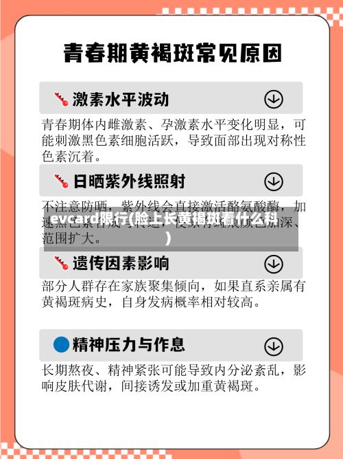 evcard限行(脸上长黄褐斑看什么科)-第2张图片