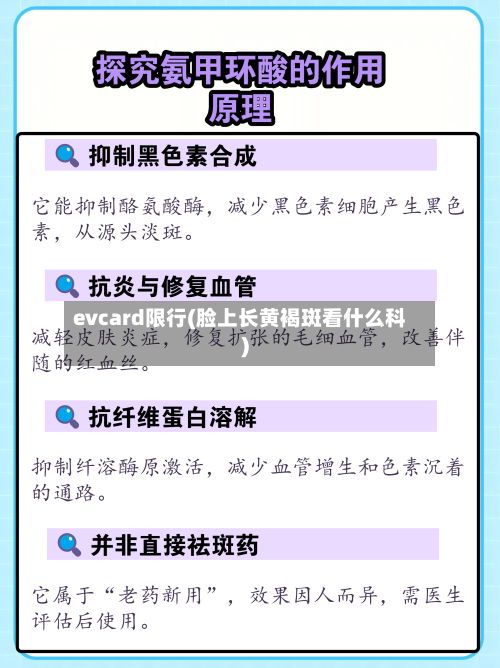 evcard限行(脸上长黄褐斑看什么科)-第3张图片
