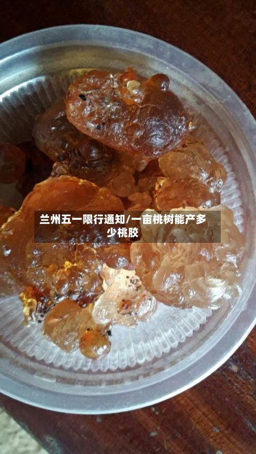 兰州五一限行通知/一亩桃树能产多少桃胶