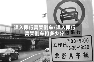 误入限行高架倒车/误入限行高架倒车扣多少分