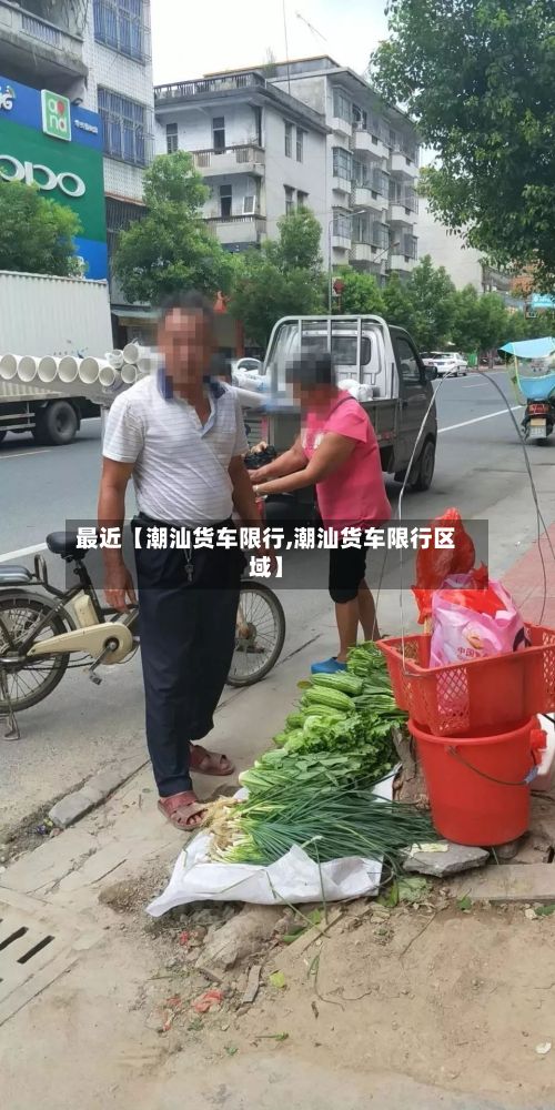最近【潮汕货车限行,潮汕货车限行区域】-第2张图片