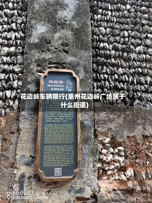 花边岭车辆限行(惠州花边岭广场属于什么街道)-第2张图片