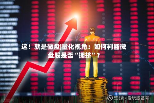 这！就是微盘|量化视角：如何判断微盘股是否“拥挤”？