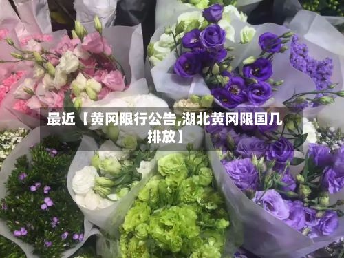 最近【黄冈限行公告,湖北黄冈限国几排放】-第2张图片