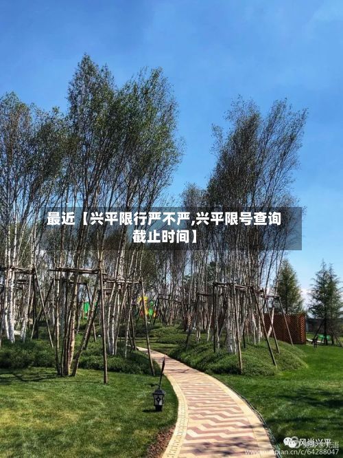 最近【兴平限行严不严,兴平限号查询截止时间】-第3张图片