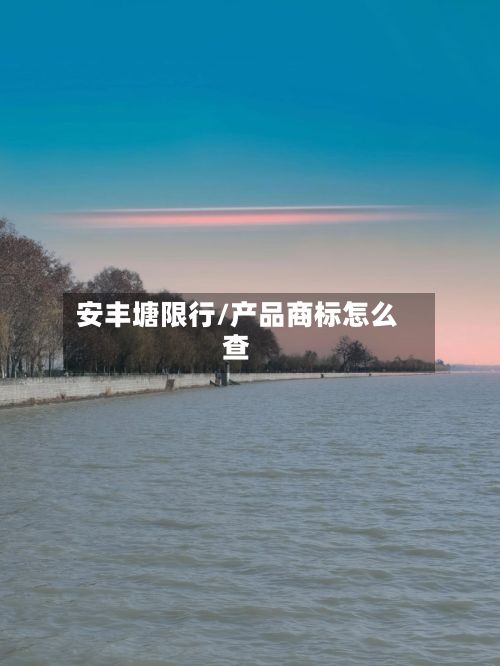 安丰塘限行/产品商标怎么查-第2张图片