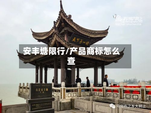安丰塘限行/产品商标怎么查