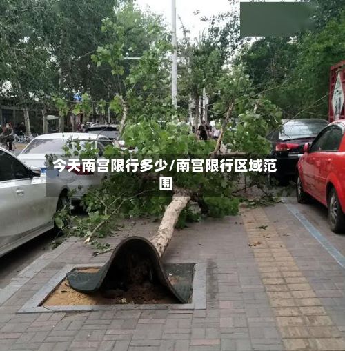 今天南宫限行多少/南宫限行区域范围-第3张图片