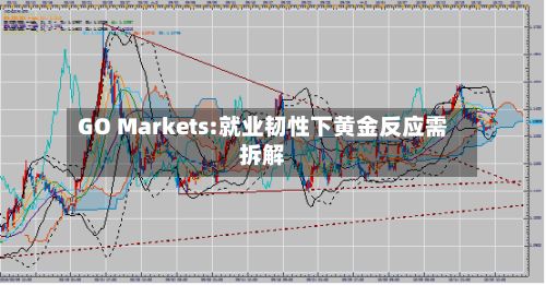 GO Markets:就业韧性下黄金反应需拆解-第1张图片