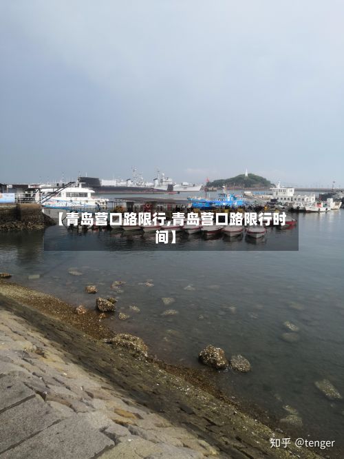 【青岛营口路限行,青岛营口路限行时间】-第3张图片