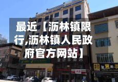 最近【沥林镇限行,沥林镇人民政府官方网站】-第2张图片