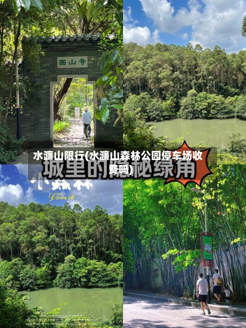 水濂山限行(水濂山森林公园停车场收费吗)-第3张图片