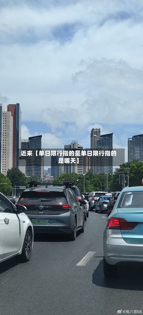 近来【单日限行指的是单日限行指的是哪天】-第3张图片