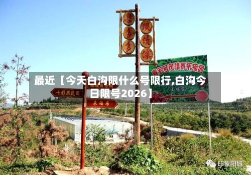 最近【今天白沟限什么号限行,白沟今日限号2026】-第2张图片