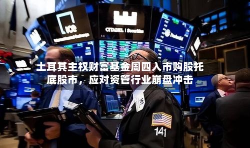 土耳其主权财富基金周四入市购股托底股市，应对资管行业崩盘冲击-第2张图片