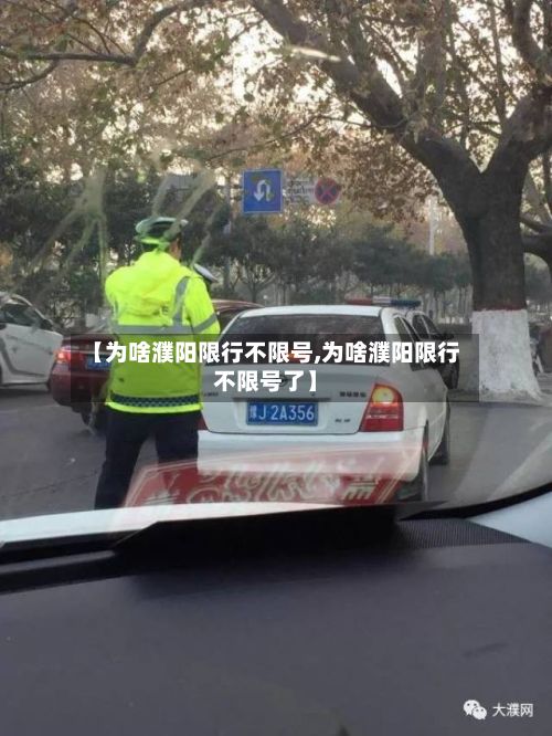 【为啥濮阳限行不限号,为啥濮阳限行不限号了】-第2张图片