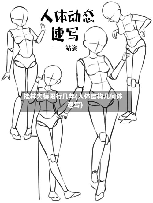 桂林大桥限行几年(人体结构几何体速写)