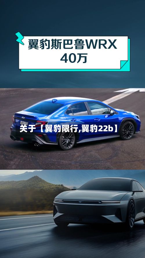 关于【翼豹限行,翼豹22b】