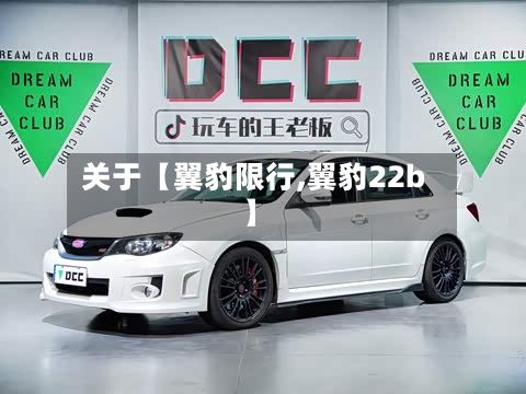 关于【翼豹限行,翼豹22b】-第2张图片