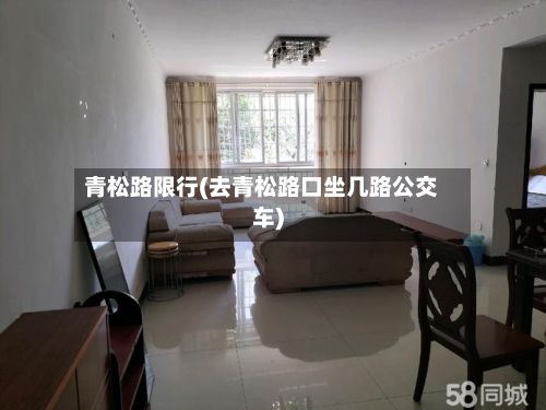 青松路限行(去青松路口坐几路公交车)-第3张图片