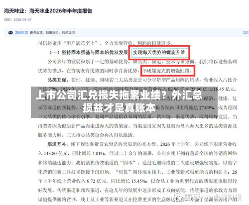上市公司汇兑损失拖累业绩？外汇总损益才是真账本