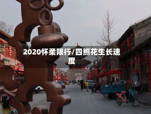 2020怀柔限行/四照花生长速度-第2张图片