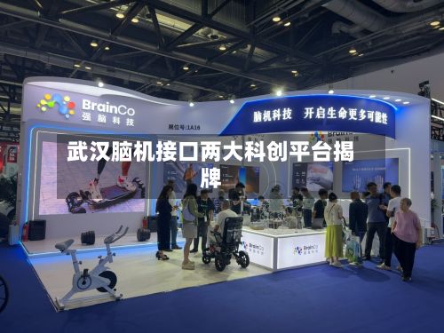 武汉脑机接口两大科创平台揭牌-第2张图片