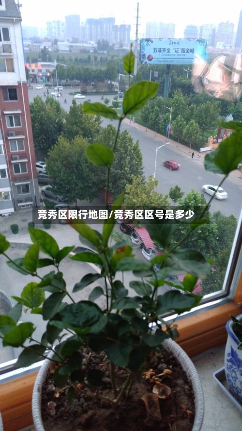 竞秀区限行地图/竞秀区区号是多少