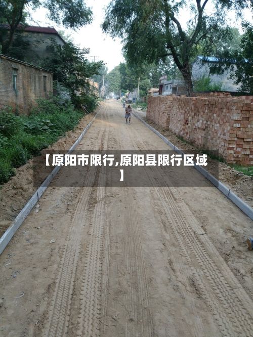 【原阳市限行,原阳县限行区域】-第3张图片