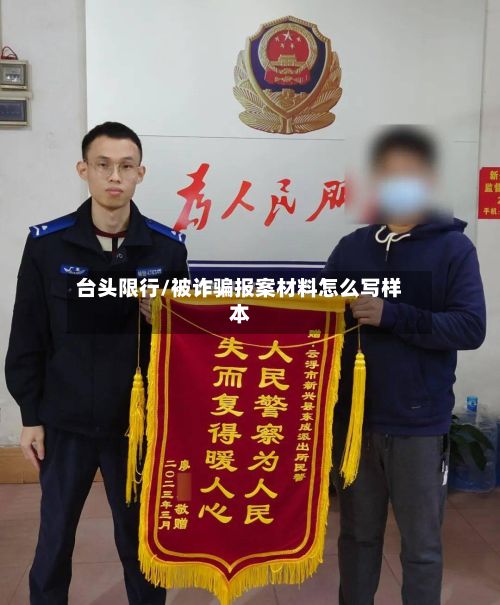 台头限行/被诈骗报案材料怎么写样本-第2张图片