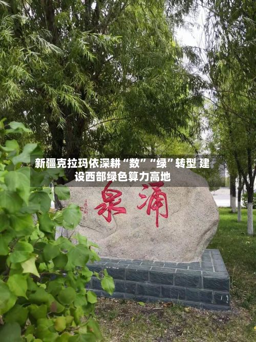 新疆克拉玛依深耕“数”“绿”转型 建设西部绿色算力高地