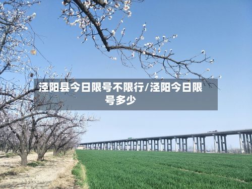 泾阳县今日限号不限行/泾阳今日限号多少