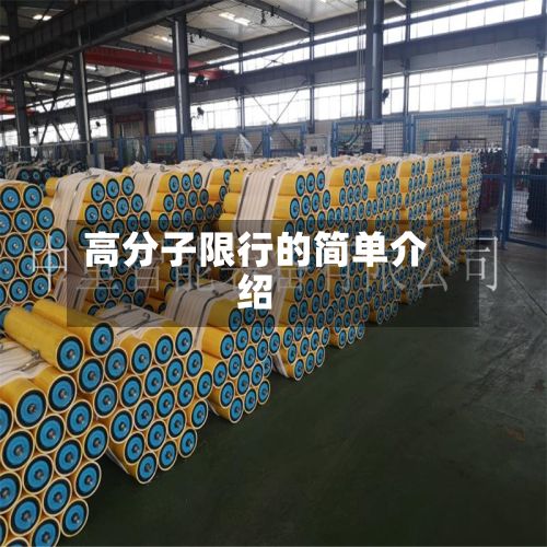 高分子限行的简单介绍
