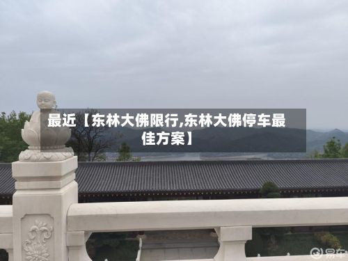 最近【东林大佛限行,东林大佛停车最佳方案】-第2张图片