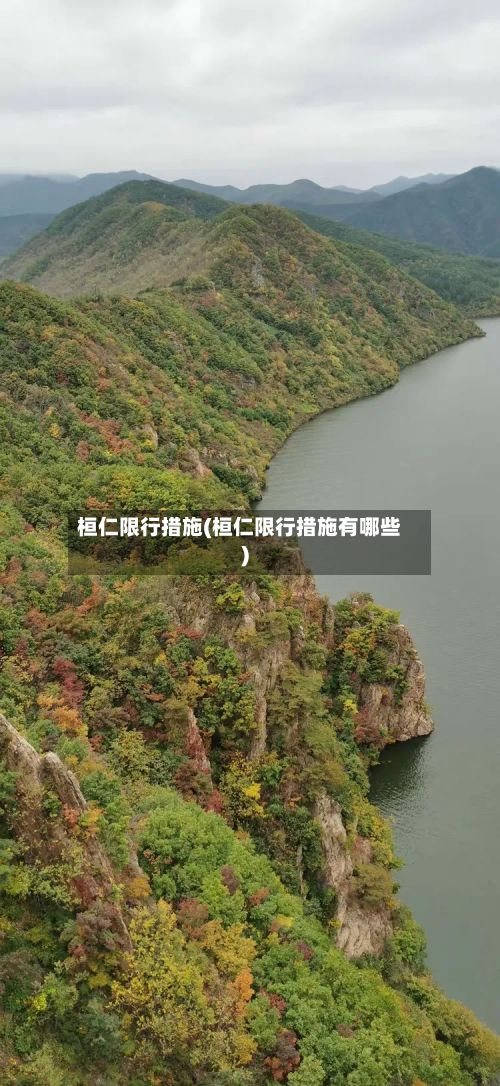 桓仁限行措施(桓仁限行措施有哪些)-第2张图片