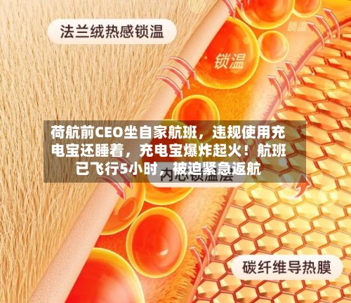 荷航前CEO坐自家航班，违规使用充电宝还睡着，充电宝爆炸起火！航班已飞行5小时，被迫紧急返航