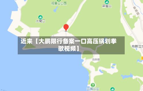近来【大鹏限行备案一口高压锅划拳歌视频】