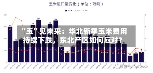“玉”见未来：华北新季玉米费用持续下跌	，东北产区如何应对？-第1张图片