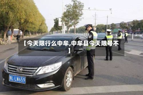 【今天限行么中牟,中牟县今天限号不】-第2张图片