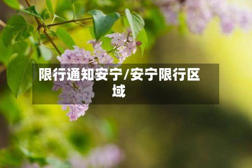 限行通知安宁/安宁限行区域-第3张图片