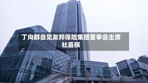丁向群会见友邦保险集团董事会主席杜嘉祺